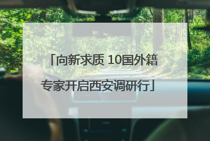 向新求质 10国外籍专家开启西安调研行