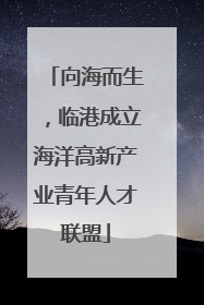向海而生，临港成立海洋高新产业青年人才联盟