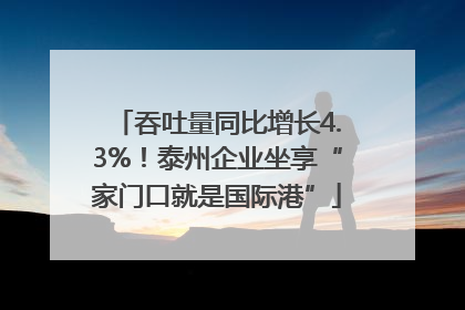 吞吐量同比增长4.3%！泰州企业坐享“家门口就是国际港”