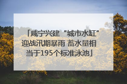 咸宁兴建“城市水缸”迎战汛期暴雨 蓄水量相当于195个标准泳池