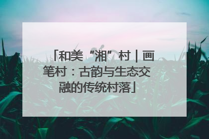和美“湘”村｜画笔村：古韵与生态交融的传统村落