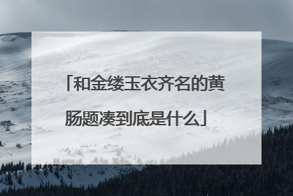 和金缕玉衣齐名的黄肠题凑到底是什么