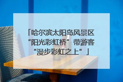 哈尔滨太阳岛风景区“阳光彩虹桥”带游客“漫步彩虹之上”