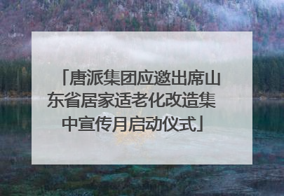 唐派集团应邀出席山东省居家适老化改造集中宣传月启动仪式