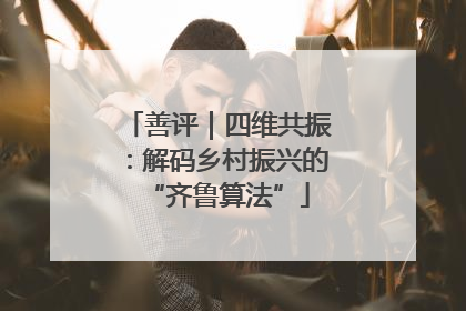 善评｜四维共振：解码乡村振兴的“齐鲁算法”