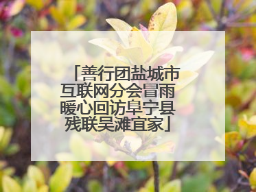 善行团盐城市互联网分会冒雨暖心回访阜宁县残联吴滩宜家