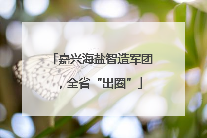 嘉兴海盐智造军团，全省“出圈”
