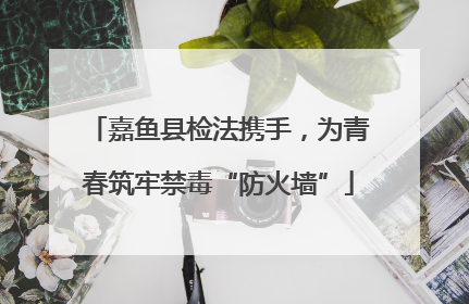 嘉鱼县检法携手，为青春筑牢禁毒“防火墙”