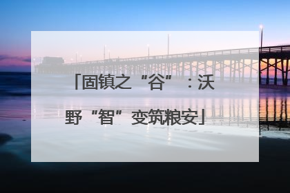 固镇之“谷”：沃野“智”变筑粮安