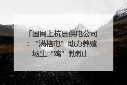 国网上杭县供电公司：“满格电”助力养殖场生“鸡”勃勃