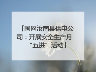 国网汝南县供电公司：开展安全生产月“五进”活动