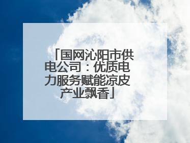 国网沁阳市供电公司：优质电力服务赋能凉皮产业飘香