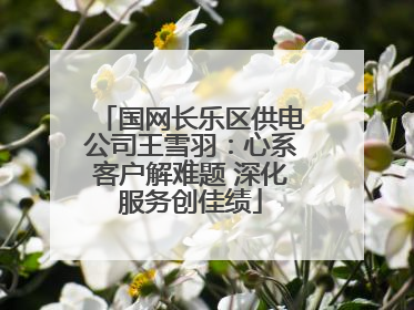 国网长乐区供电公司王雪羽：心系客户解难题 深化服务创佳绩