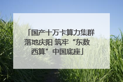国产十万卡算力集群落地庆阳 筑牢“东数西算”中国底座