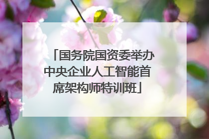 国务院国资委举办中央企业人工智能首席架构师特训班