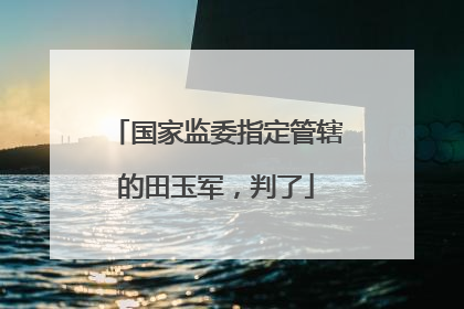 国家监委指定管辖的田玉军，判了