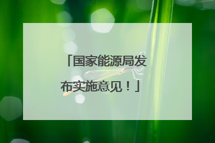 国家能源局发布实施意见！