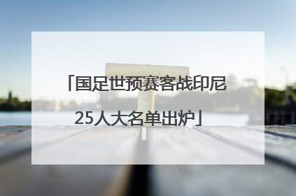 国足世预赛客战印尼25人大名单出炉
