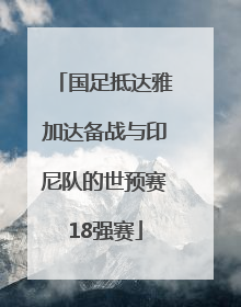 国足抵达雅加达备战与印尼队的世预赛18强赛