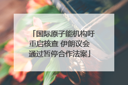 国际原子能机构吁重启核查 伊朗议会通过暂停合作法案