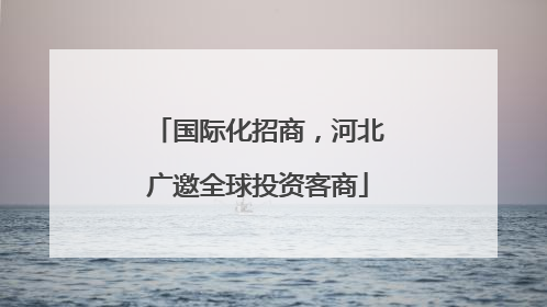 国际化招商，河北广邀全球投资客商