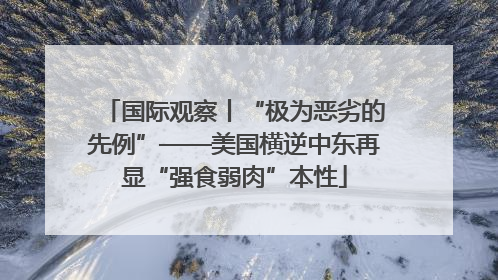 国际观察丨“极为恶劣的先例”——美国横逆中东再显“强食弱肉”本性