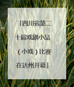 四川省第二十届戏剧小品（小戏）比赛在达州开幕