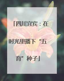 四川宜宾：在时光里播下“五育”种子