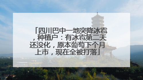 四川巴中一地突降冰雹，种植户：有冰雹第二天还没化，原本葡萄下个月上市，现在全被打落