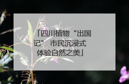 四川植物“出国记” 市民沉浸式体验自然之美