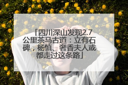 四川深山发现2.7公里茶马古道：立有石碑，杨慎、奢香夫人或都走过这条路