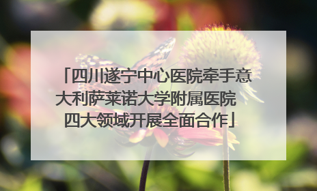 四川遂宁中心医院牵手意大利萨莱诺大学附属医院 四大领域开展全面合作
