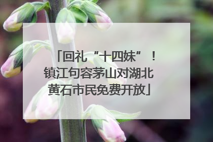 回礼“十四妹”！镇江句容茅山对湖北黄石市民免费开放