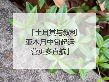 土耳其与叙利亚本月中旬起运营更多直航