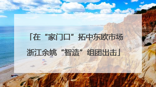 在“家门口”拓中东欧市场 浙江余姚“智造”组团出击