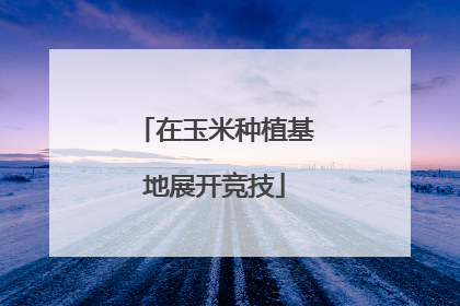 在玉米种植基地展开竞技