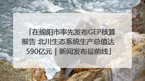 在绵阳市率先发布GEP核算报告 北川生态系统生产总值达590亿元｜新闻发布最前线
