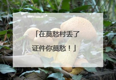 在莫愁村丢了证件你莫愁！