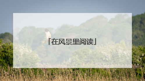 在风景里阅读