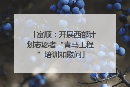 富顺：开展西部计划志愿者“青马工程”培训和慰问
