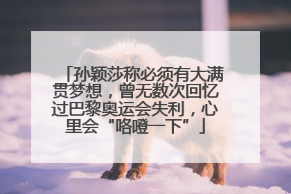 孙颖莎称必须有大满贯梦想，曾无数次回忆过巴黎奥运会失利，心里会“咯噔一下”
