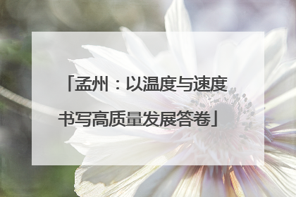 孟州：以温度与速度书写高质量发展答卷