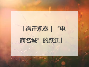 宿迁观察｜“电商名城”的跃迁