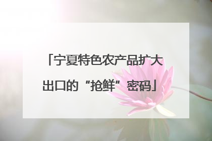 宁夏特色农产品扩大出口的“抢鲜”密码