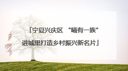 宁夏兴庆区 “曦有一族”进城里打造乡村振兴新名片