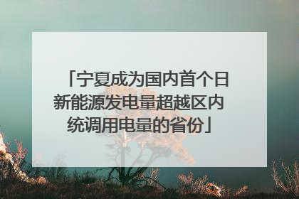 宁夏成为国内首个日新能源发电量超越区内统调用电量的省份