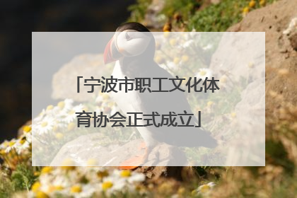 宁波市职工文化体育协会正式成立