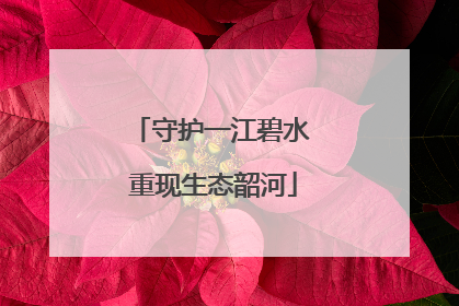 守护一江碧水 重现生态韶河