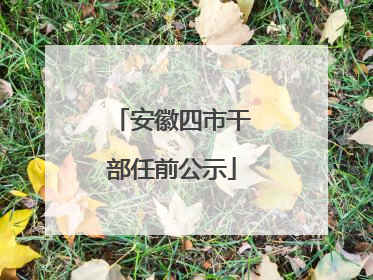安徽四市干部任前公示