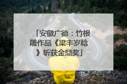 安徽广德：竹根雕作品《梁丰岁稔》斩获金鼎奖